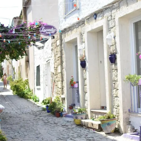 بيت ضيافة Lavender